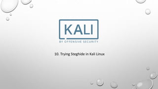 10. Trying Steghide in Kali Linux
 