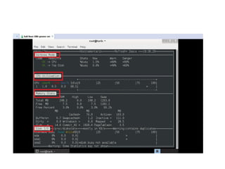 Kali linux nmon analyzer kurulumu