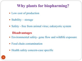 Why plants for biopharming? 
10 
 Low cost of production 
 Stability – storage 
 Safety - free from animal virus; eukaryotic system 
Disadvantages 
 Environmental safety- gene flow and wildlife exposure 
 Food chain contamination 
 Health safety concern-case specific 
 