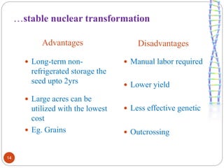 …stable nuclear transformation 
Advantages Disadvantages 
 Long-term non-refrigerated 
storage the 
seed upto 2yrs 
 Large acres can be 
utilized with the lowest 
cost 
 Eg. Grains 
 Manual labor required 
 Lower yield 
 Less effective genetic 
 Outcrossing 
14 
 