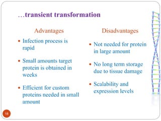 …transient transformation 
Advantages Disadvantages 
18 
 Infection process is 
rapid 
 Small amounts target 
protein is obtained in 
weeks 
 Efficient for custom 
proteins needed in small 
amount 
 Not needed for protein 
in large amount 
 No long term storage 
due to tissue damage 
 Scalability and 
expression levels 
 