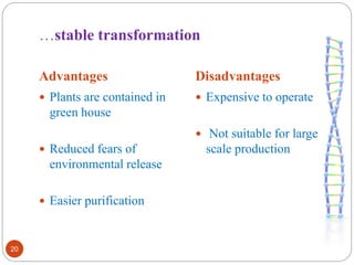 …stable transformation 
Advantages Disadvantages 
20 
 Plants are contained in 
green house 
 Reduced fears of 
environmental release 
 Easier purification 
 Expensive to operate 
 Not suitable for large 
scale production 
 