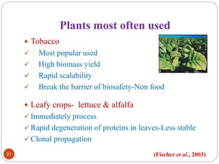 Plants most often used 
21 
 Tobacco 
 Most popular used 
 High biomass yield 
 Rapid scalability 
 Break the barrier of biosafety-Non food 
 Leafy crops- lettuce & alfalfa 
 Immediately process 
 Rapid degeneration of proteins in leaves-Less stable 
 Clonal propagation 
(Fischer et al., 2003) 
 
