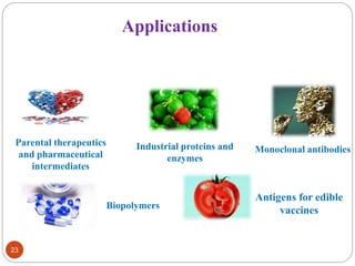 Applications 
Parental therapeutics 
and pharmaceutical 
intermediates 
Industrial proteins and 
enzymes 
Monoclonal antibodies 
Biopolymers 
Antigens for edible 
vaccines 
23 
 
