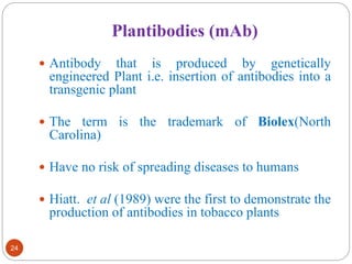 Plantibodies (mAb) 
24 
 Antibody that is produced by genetically 
engineered Plant i.e. insertion of antibodies into a 
transgenic plant 
 The term is the trademark of Biolex(North 
Carolina) 
 Have no risk of spreading diseases to humans 
 Hiatt. et al (1989) were the first to demonstrate the 
production of antibodies in tobacco plants 
 