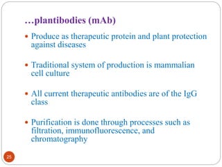 25 
…plantibodies (mAb) 
 Produce as therapeutic protein and plant protection 
against diseases 
 Traditional system of production is mammalian 
cell culture 
 All current therapeutic antibodies are of the IgG 
class 
 Purification is done through processes such as 
filtration, immunofluorescence, and 
chromatography 
 