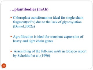 26 
…plantibodies (mAb) 
 Chloroplast transformation ideal for single chain 
fragment(scFv) due to the lack of glycosylation 
(Daniel,2002a) 
 Agrofiltration is ideal for transient expression of 
heavy and light chain genes 
 Assembling of the full-size mAb in tobacco report 
by Scholthof et al.,(1996) 
 