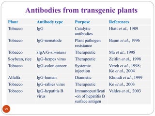 Antibodies from transgenic plants 
Plant Antibody type Purpose References 
Tobacco IgG Catalytic 
29 
antibodies 
Hiatt et al., 1989 
Tobacco IgG-nematode Plant pathogen 
resistance 
Baum et al., 1996 
Tobacco sIgA/G-s.mutans Therapeutic Ma et al., 1998 
Soybean, rice IgG-herpes virus Therapeutic Zeitlin et al., 1998 
Tobacco IgG-colon cancer Systemic 
injection 
Verch et al., 1998; 
Ko et al., 2004 
Alfalfa IgG-human Dianostic Khoudi et al., 1999 
Tobacco IgG-rabies virus Therapeutic Ko et al., 2003 
Tobacco IgG-hepatitis B 
virus 
Immunopurificati 
-on of hepatitis B 
surface antigen 
Valdes et al., 2003 
 