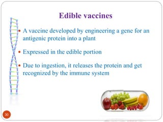 Edible vaccines 
30 
 A vaccine developed by engineering a gene for an 
antigenic protein into a plant 
 Expressed in the edible portion 
 Due to ingestion, it releases the protein and get 
recognized by the immune system 
 