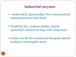 Industrial enzymes 
36 
 Avidin and β- glucuronidase first commercialized 
industrial proteins from Maize 
 ProdiGene Inc. company produce trypsin 
(proteolytic enzyme) on large scale using maize 
 Avidin was the first commercial transgenic protein 
produced via transgenic maize 
 