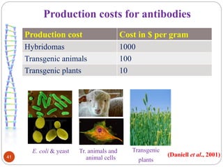 Production costs for antibodies 
41 
Production cost Cost in $ per gram 
Hybridomas 1000 
Transgenic animals 100 
Transgenic plants 10 
(Daniell et al., 2001) 
E. coli & yeast Tr. animals and 
animal cells 
Transgenic 
plants 
 