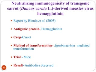 Neutralizing immunogenicity of transgenic 
carrot (Daucus carota L.)-derived measles virus 
hemagglutinin 
43 
 Report by Blouin et al. (2003) 
 Antigenic protein- Hemagglutinin 
 Crop-Carrot 
 Method of transformation- Agrobacterium mediated 
transformation 
 Trial - Mice 
 Result- Antibodies observed 
 