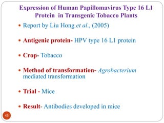 Expression of Human Papillomavirus Type 16 L1 
Protein in Transgenic Tobacco Plants 
45 
 Report by Liu Hong et al., (2005) 
 Antigenic protein- HPV type 16 L1 protein 
 Crop- Tobacco 
 Method of transformation- Agrobacterium 
mediated transformation 
 Trial - Mice 
 Result- Antibodies developed in mice 
 
