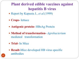 Plant derived edible vaccines against 
hepatitis B virus 
47 
 Report by Kapusta J., et al.(1999) 
 Crops- lettuce 
 Antigenic protein- HBsAg Protein 
 Method of transformation- Agrobacterium 
mediated transformation 
 Trial- In Mice 
 Result-Mice developed HB virus specific 
antibodies 
 