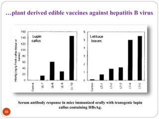 …plant derived edible vaccines against hepatitis B virus 
48 
Serum antibody response in mice immunized orally with transgenic lupin 
callus containing HBsAg. 
 