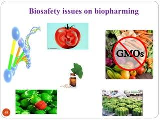 Biosafety issues on biopharming 
49 
 