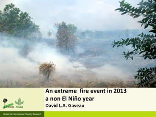An extreme fire event in 2013
a non El Niño year
David L.A. Gaveau
 