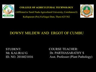 DOWNY MILDEW AND ERGOT OF CUMBU
COURSE TEACHER:
Dr. PARTHASARATHY S
Asst. Professor (Plant Pathology)
STUDENT:
Mr. KALIRAJ G
ID. NO. 2016021016
COLLEGE OF AGRICULTURAL TECHNOLOGY
(Affiliated to Tamil Nadu Agricultural University, Coimbatore3)
Kullapuram (Po),ViaVaigai Dam, Theni-625 562
 