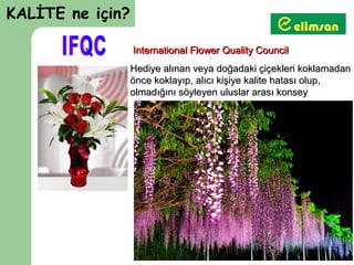 KALİTE ne için?

                  International Flower Quality Council
                  Hediye alınan veya doğadaki çiçekleri koklamadan
                  önce koklayıp, alıcı kişiye kalite hatası olup,
                  olmadığını söyleyen uluslar arası konsey
 
