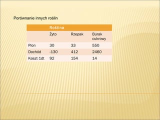 Porównanie innych roślin
Roślina
Żyto Rzepak Burak
cukrowy
Plon 30 33 550
Dochód -130 412 2460
Koszt 1dt 92 154 14
 