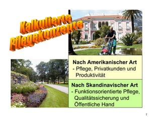 Kalkulierte Pflegekonzepte Nach Amerikanischer Art - Pflege, Privatkunden und Produktivität  Nach Skandinavischer Art - Funktionsorientierte Pflege, Qualitätssicherung und  Öffentliche Hand 