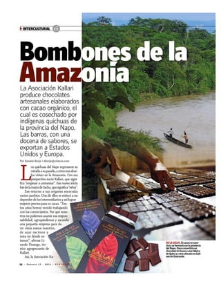 Bombones de la Amazonía