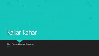 Kallar Kahar
Flora Fauna & Energy Resources
Group B
 