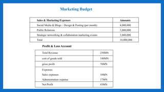 Marketing Budget
Sales & Marketing Expenses Amounts
Social Media & Blogs – Design & Posting (per month) 4,000,000
Public Relations 3,000,000
Strategic networking & collaboration marketing events 3,000,000
Total 10,000,000
Total Revenue 250MN
cost of goods sold 180MN
gross profit 70MN
Expenses
Sales expenses
Administration expense
10MN
17MN
Net Profit 43MN
Profit & Loss Account
 