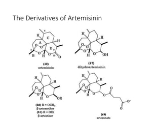 Anti malarial drugs | PPTX