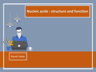 Nucleic acids : structure and function
Ravish Yadav
 