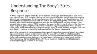 Understanding The Body’s Stress
Response
A stress response begins when the brain receives a message from the eyes or ears ...