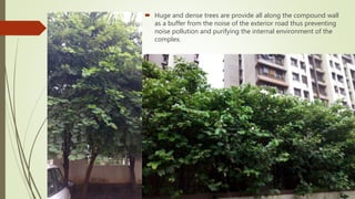  Huge and dense trees are provide all along the compound wall
as a buffer from the noise of the exterior road thus preventing
noise pollution and purifying the internal environment of the
complex.
 