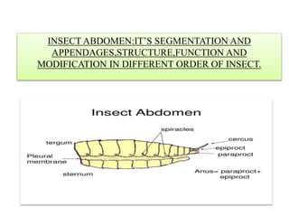 INSECT ABDOMEN:IT’S SEGMENTATION AND
APPENDAGES,STRUCTURE,FUNCTION AND
MODIFICATION IN DIFFERENT ORDER OF INSECT.
 