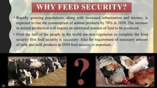 WHY FEED SECURITY?
• Rapidly growing populations, along with increased urbanization and income, is
expected to rise the consumption of animal products by 70% in 2050. The increase
in animal production will require an additional amount of feed to be produced.
• Over the half of the people in the world are non-vegetarian so complete the food
security first feed security is necessary. Also for requirement of necessary amount
of milk and milk products in 2050 feed security is important.
20
 
