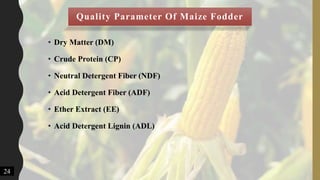 Quality Parameter Of Maize Fodder
• Dry Matter (DM)
• Crude Protein (CP)
• Neutral Detergent Fiber (NDF)
• Acid Detergent Fiber (ADF)
• Ether Extract (EE)
• Acid Detergent Lignin (ADL)
24
 