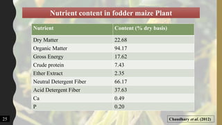 Chaudhary et al. (2012)25
Nutrient Content (% dry basis)
Dry Matter 22.68
Organic Matter 94.17
Gross Energy 17.62
Crude protein 7.43
Ether Extract 2.35
Neutral Detergent Fiber 66.17
Acid Detergent Fiber 37.63
Ca 0.49
P 0.20
Nutrient content in fodder maize Plant
 