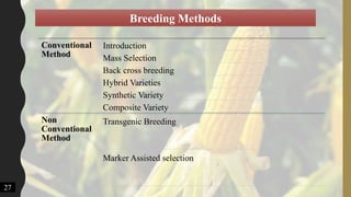 Conventional
Method
Introduction
Mass Selection
Back cross breeding
Hybrid Varieties
Synthetic Variety
Composite Variety
Non
Conventional
Method
Transgenic Breeding
Marker Assisted selection
Breeding Methods
27
 