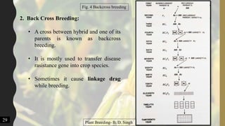 2. Back Cross Breeding:
• A cross between hybrid and one of its
parents is known as backcross
breeding.
• It is mostly used to transfer disease
rasistance gene into crop species.
• Sometimes it cause linkage drag
while breeding.
29 Plant Breeding- B. D. Singh
Fig. 4 Backcross breeding
 