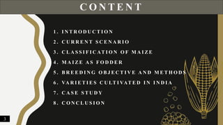C O N T E N T
1 . I N T R O D U C T I O N
2 . C U R R E N T S C E N A R I O
3 . C L A S S I F I C AT I O N O F M A I Z E
4 . M A I Z E A S F O D D E R
5 . B R E E D I N G O B J E C T I V E A N D M E T H O D S
6 . VA R I E T I E S C U LT I VAT E D I N I N D I A
7 . C A S E S T U D Y
8 . C O N C L U S I O N
3
 