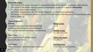 Hybrid Breeding :
• The Term hybrids used to designate F1 populations obtained by crossing genetically unlike parents.
• The tassels of the female plants are removed immediately as soon as it appears- Detasseling
• It is always done in the morning.
• Cob which emerging from the leaf sheath is bagged 1 to 2 days before pollination.
• The tassels of selected male parents is also covered with bag on following day in the morning between
9.00 to 10.00 a.m.
Types of Hybrids:
Inbred: Single Cross:
A nearly homozygous line obtained through A x B
continuous inbreeding of a cross-pollinated
Species with selection accompanying inbreeding. Double Cross:
(A x B) x (C x D)
Top Cross:
Cross between an inbred line and an Three way cross:
open-pollinated variety. (A x B) x C
Test Cross: Varietal cross:
Cross between F1 and homozygous recessive Cross between two varieties.
parent.30
 