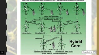 31 Powell et al. 2015
 