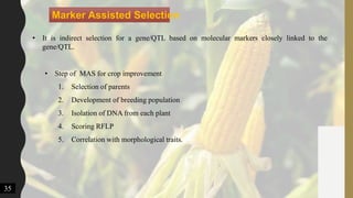 Marker Assisted Selection
• It is indirect selection for a gene/QTL based on molecular markers closely linked to the
gene/QTL.
35
• Step of MAS for crop improvement
1. Selection of parents
2. Development of breeding population
3. Isolation of DNA from each plant
4. Scoring RFLP
5. Correlation with morphological traits.
 
