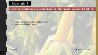 Case study 5
Genetic variability and association studies in fodder maize (Zea mays L.) hybrids
Kapoor et al.,2015India
• Twelve maize genotypes and two checks
• Randomized Block Design
56
 