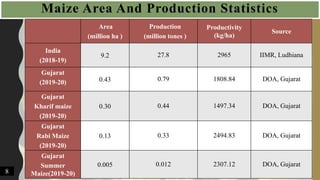 Maize Area And Production Statistics
Area
(million ha )
Production
(million tones )
Productivity
(kg/ha)
Source
India
(2018-19)
9.2 27.8 2965 IIMR, Ludhiana
Gujarat
(2019-20) 0.43 0.79 1808.84 DOA, Gujarat
Gujarat
Kharif maize
(2019-20)
0.30 0.44 1497.34 DOA, Gujarat
Gujarat
Rabi Maize
(2019-20)
0.13 0.33 2494.83 DOA, Gujarat
Gujarat
Summer
Maize(2019-20)
0.005 0.012 2307.12 DOA, Gujarat
8
 
