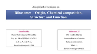 Ribosomes – Origin, Chemical composition,
Structure and Function
Assignment presentation on
Submitted To
Mr. Manish Sharma
Assistant Research Scientist
Pulse research station,
S.D.A.U.,
Sardarkrushinagar-385 506.
Submitted By
Damor Kalpeshkumar Mohanbhai
Reg No: 04-AGRMA-01983-2019
C. P. C. A., S.D.A.U.,
Sardarkrushinagar-385 506.
 