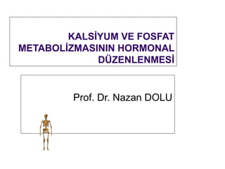 KALSİYUM VE FOSFAT
METABOLİZMASININ HORMONAL
             DÜZENLENMESİ


         Prof. Dr. Nazan DOLU
 