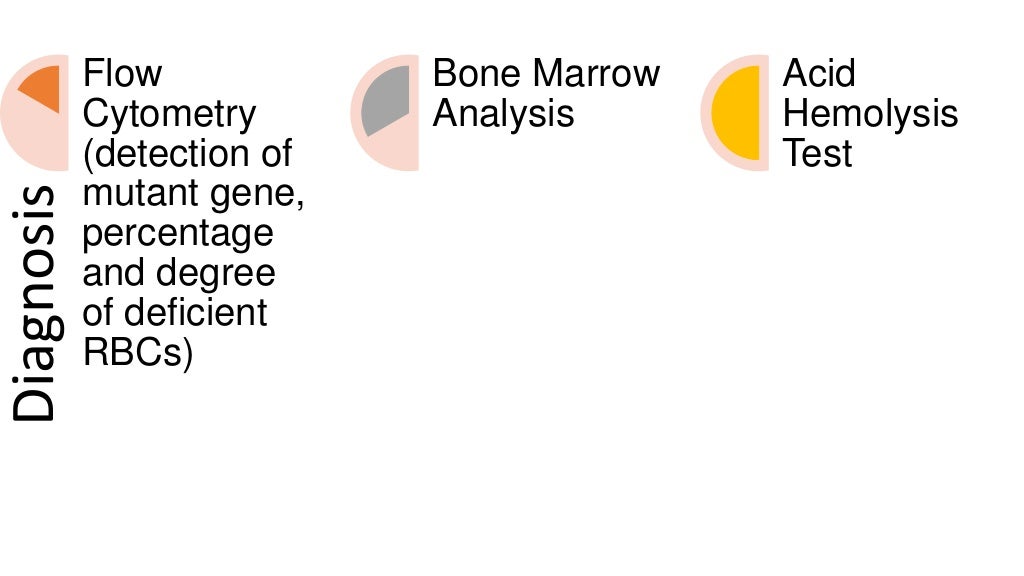 Pernicious anemia essay picture
