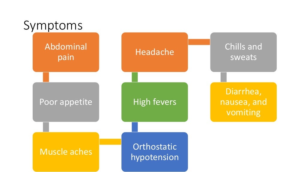 Anemia treatment foods image