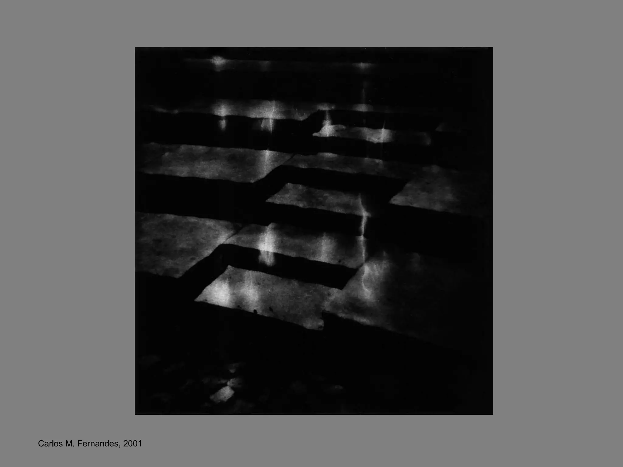 Carlos M. Fernandes, 2001 